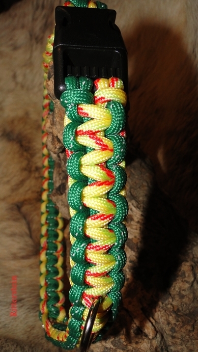 Hundehalsband-Brasil