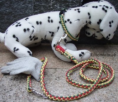 Leine aus Paracord