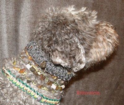 Hundehalsbänder