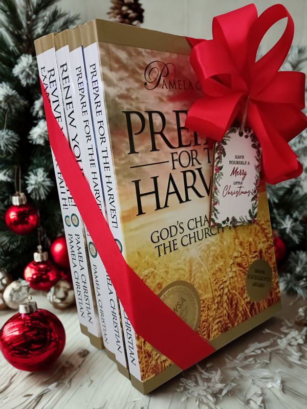 Five Book Faith To Live By Book Series Bundle