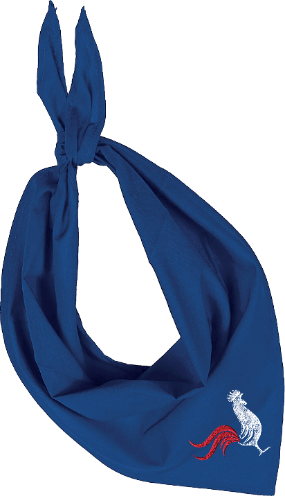 FIESTA  BANDANA avec coq aux couleurs de la France