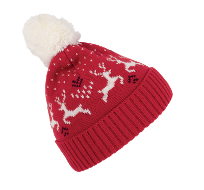 Bonnet de Noël motifs rennes