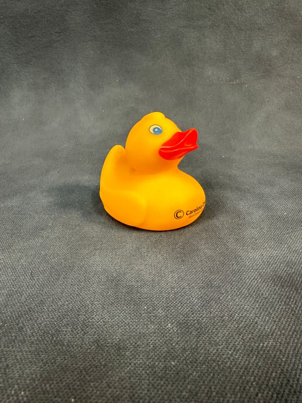 Yellow Rubber Duck