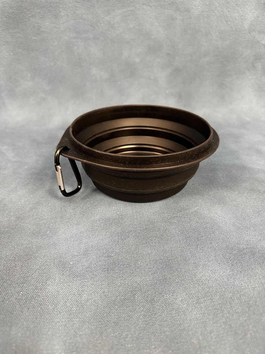 Collapsible Dog Bowl