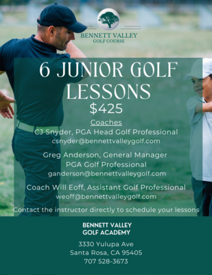 6 Junior Golf Lessons $425 00014