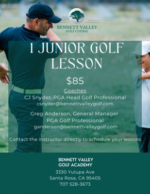 1 Junior Golf Lesson $85 00013