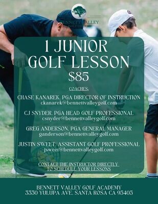 1 Junior Golf Lesson $85 00013
