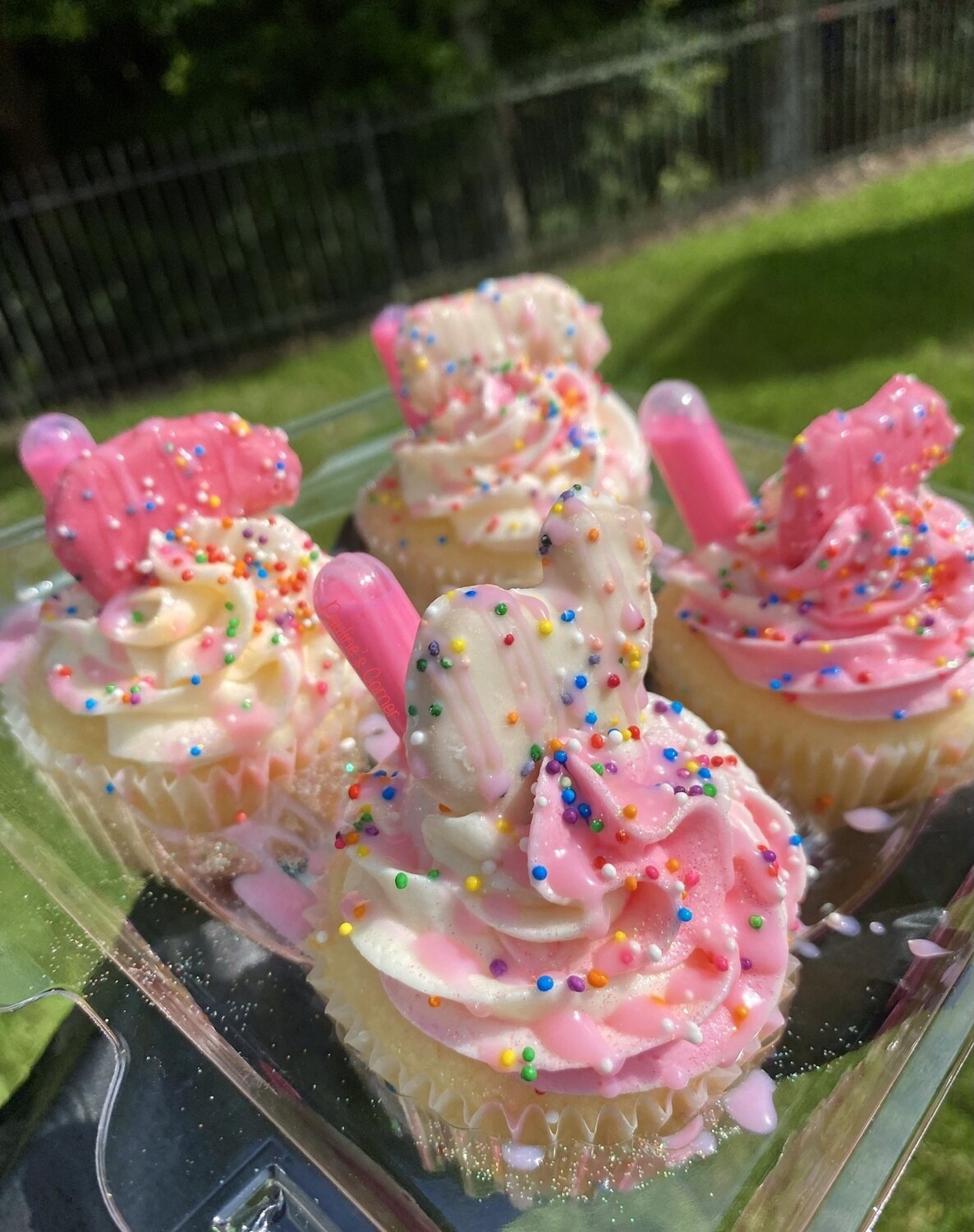 Cupcakes (12)