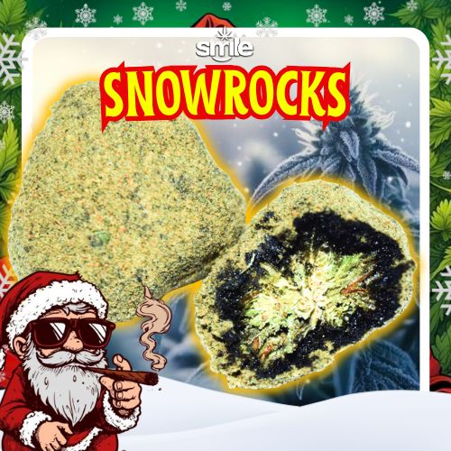 ☃️SNOWROCKS ☃️SNOWROCKS