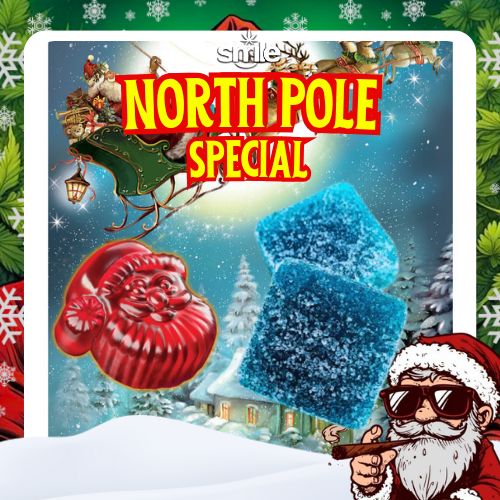 🎄NORTH POLE SPECIAL