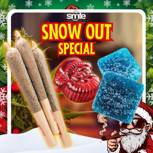 ❄️SNOW OUT SPECIAL