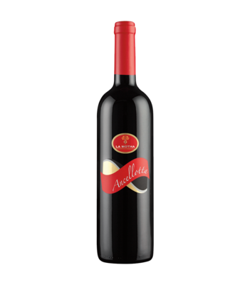 Ancellotta IGT Cantina Capo di vigna