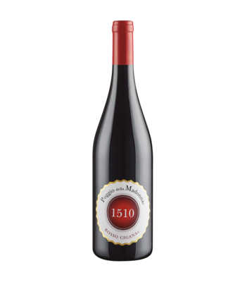 Raboso Frizzante Cantina Capo di vigna
