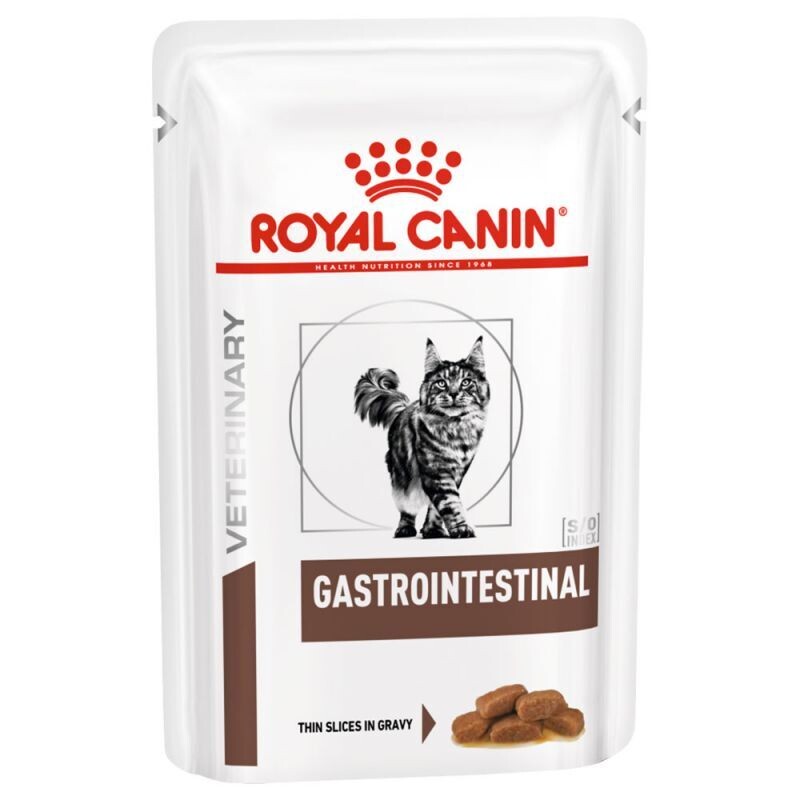 Gastrointestinal Royal Canin gatto