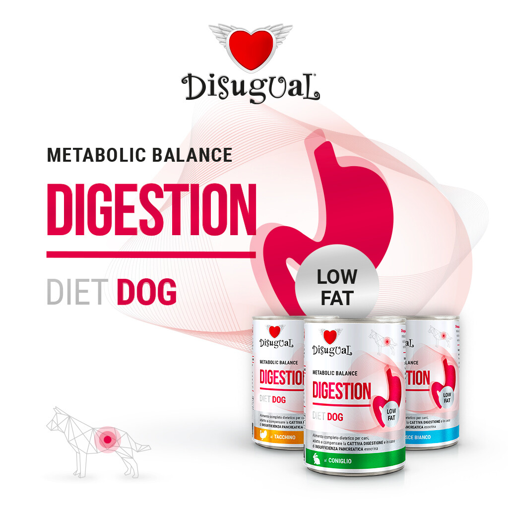 Digestion Disugual cane Dieta