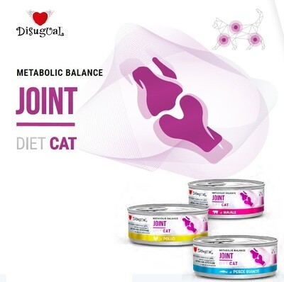 Joint Dieta Gatto Articolazioni Disugual