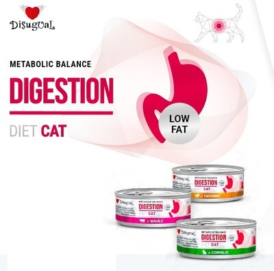 Digestion Dieta Gatto Disugual