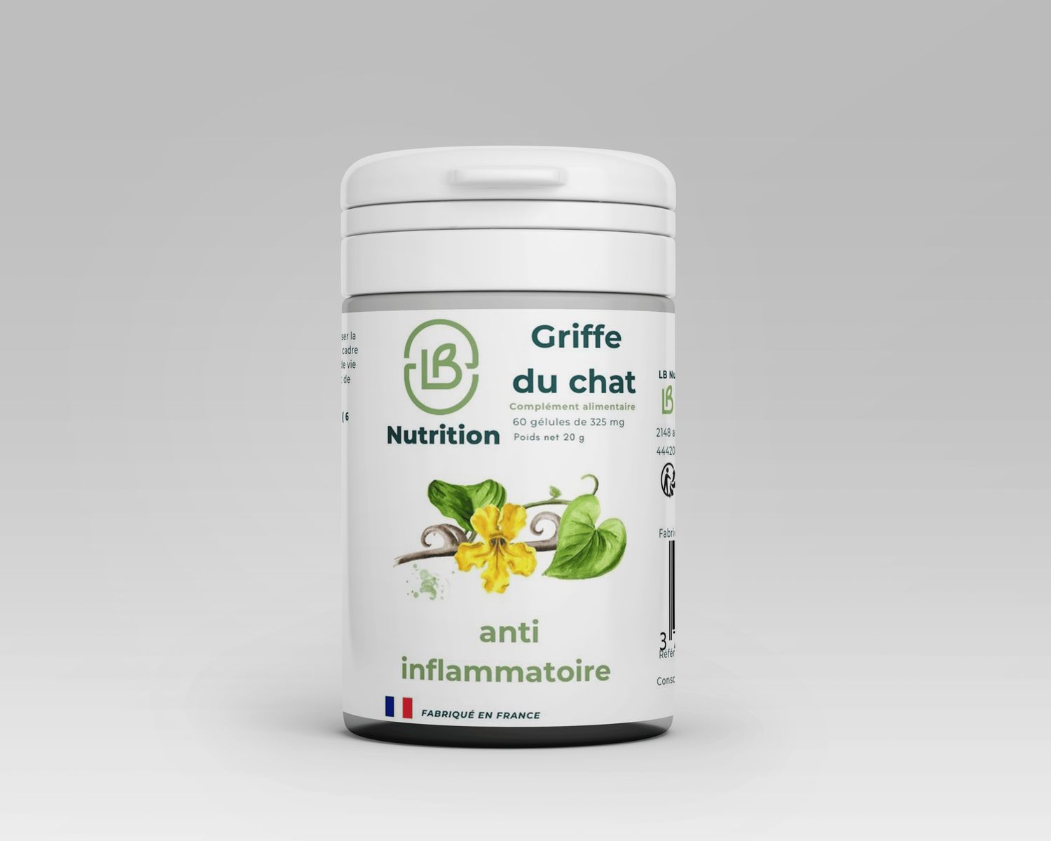 Griffe du chat