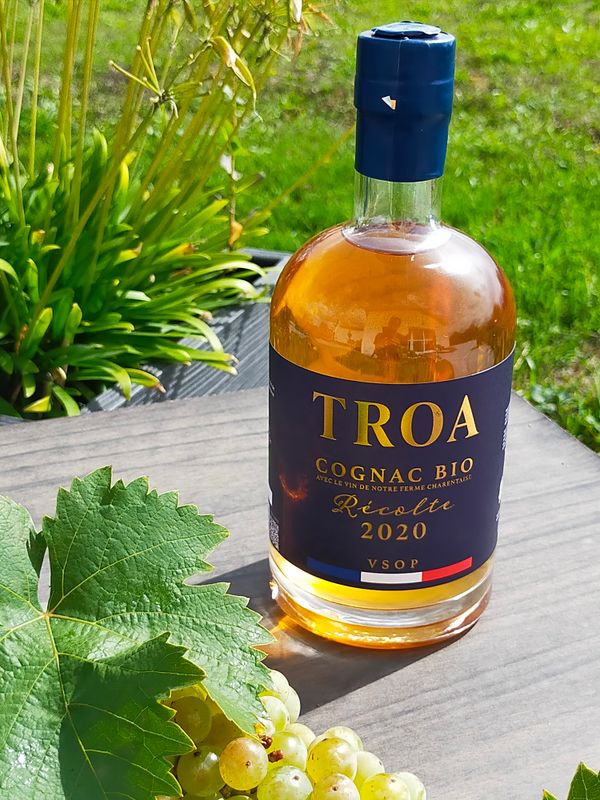 Cognac Bio VSOP  1 x 70 cl