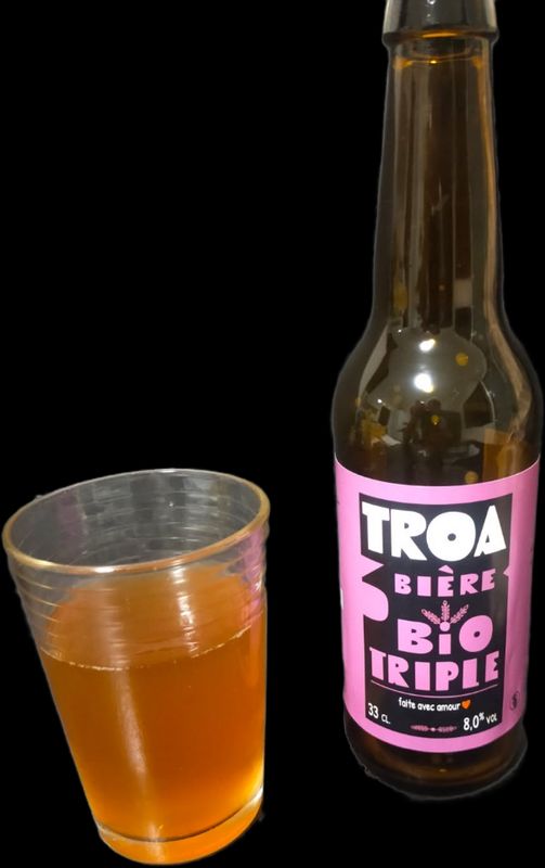 Bière Triple Carton de 12 x 33 cl