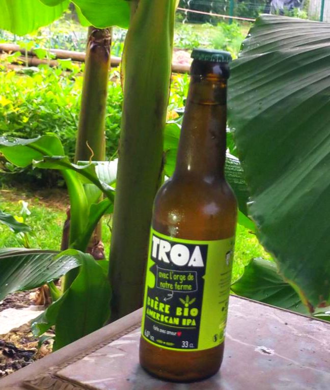 Bière IPA Carton de 12 x 33 cl