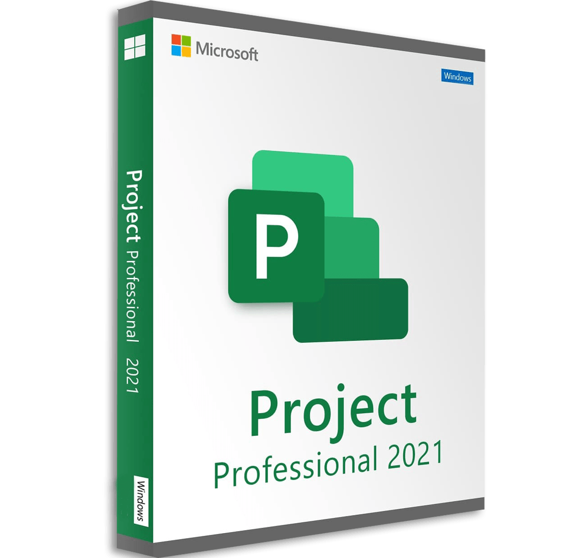 Microsoft Project 2021 Professional, validità 24 mesi, installazione e attivazione licenza (anche online da remoto)