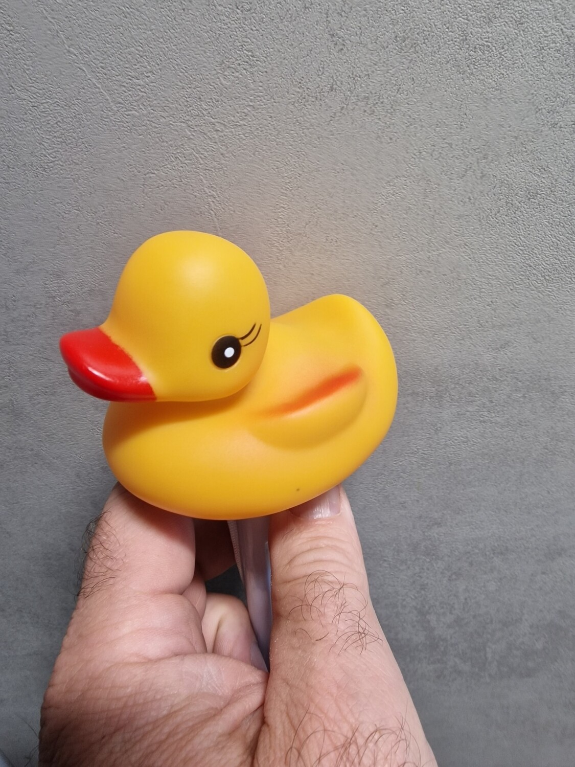 Ententhermometer