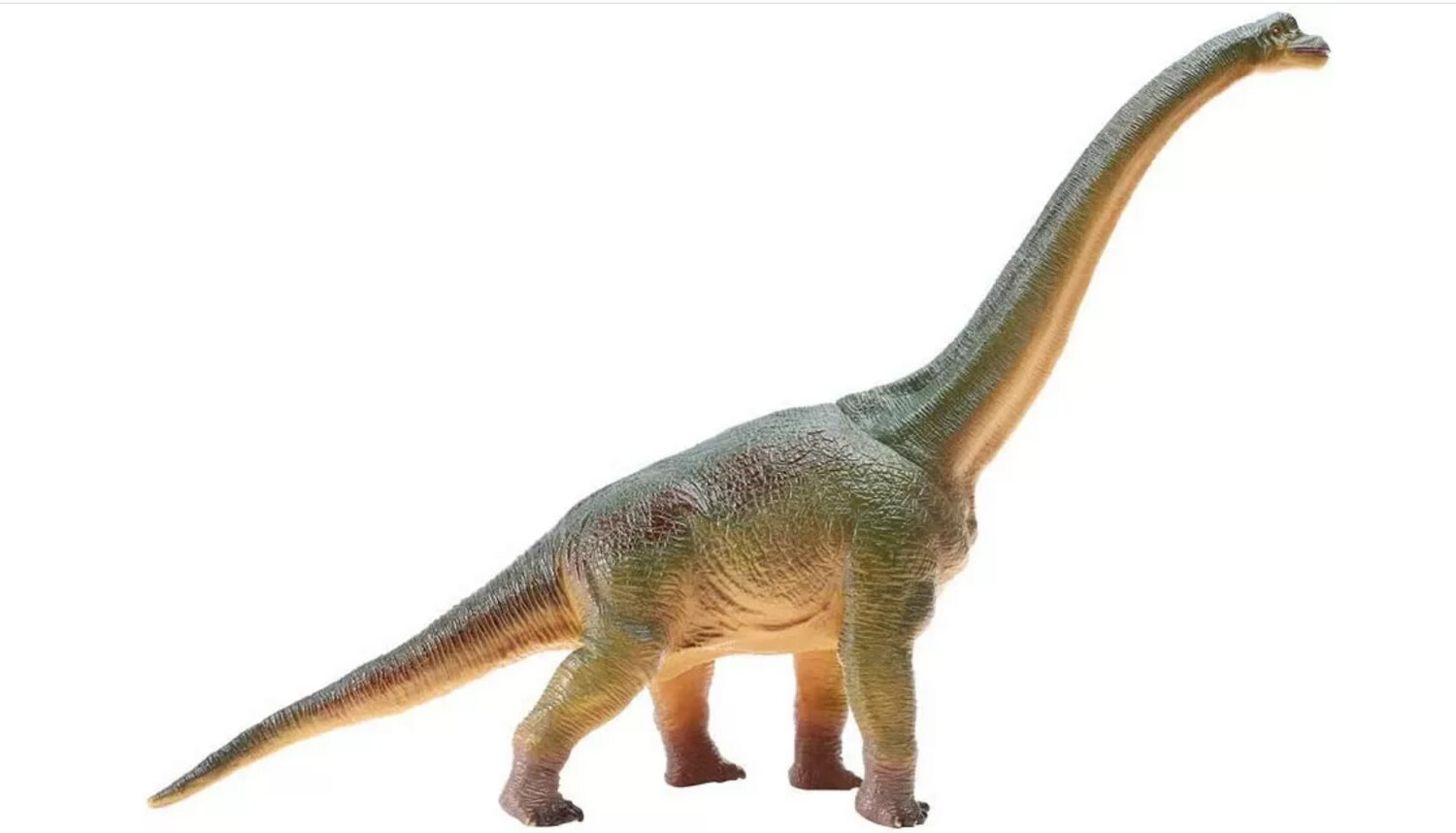 Dinosauro RECUR Brachiosauro L 60 cm