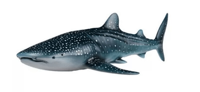 Recur Squalo Balena Lunghezza 30 Cm