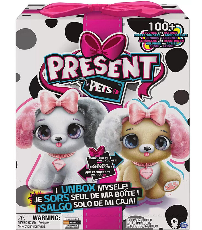 Present Pets Cucciolo a Sorpresa Interattivo