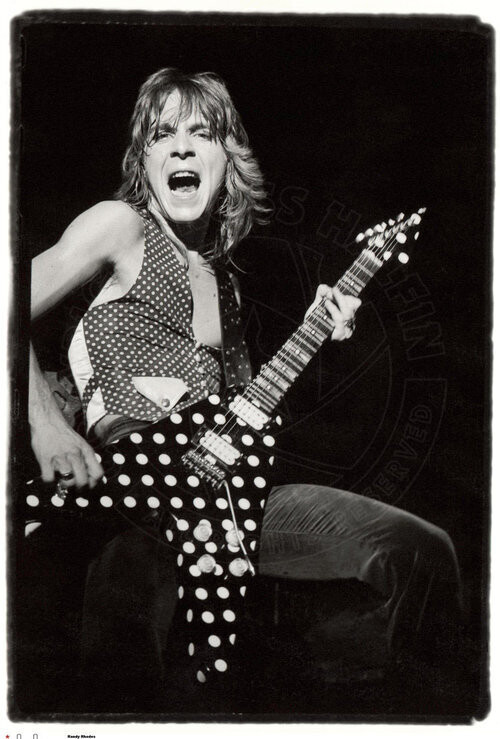 Randy Rhoads Guitar Polka Dot Flying