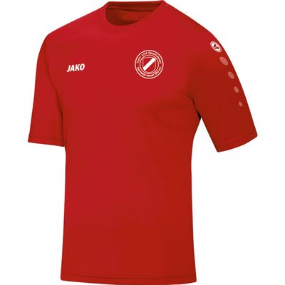 Trikot Team inkl. Vereinslogo
