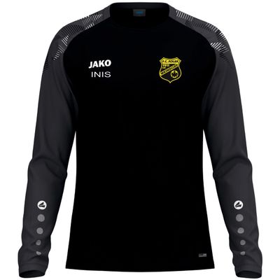 Longsleeve Sonic inkl. Vereinslogo