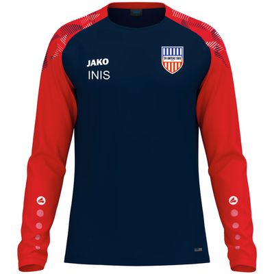 Longsleeve Sonic inkl. Vereinslogo