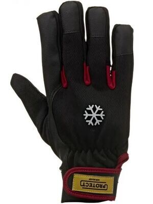 Guanti Winter Gloves