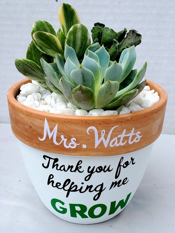 Colored Talkative Pot