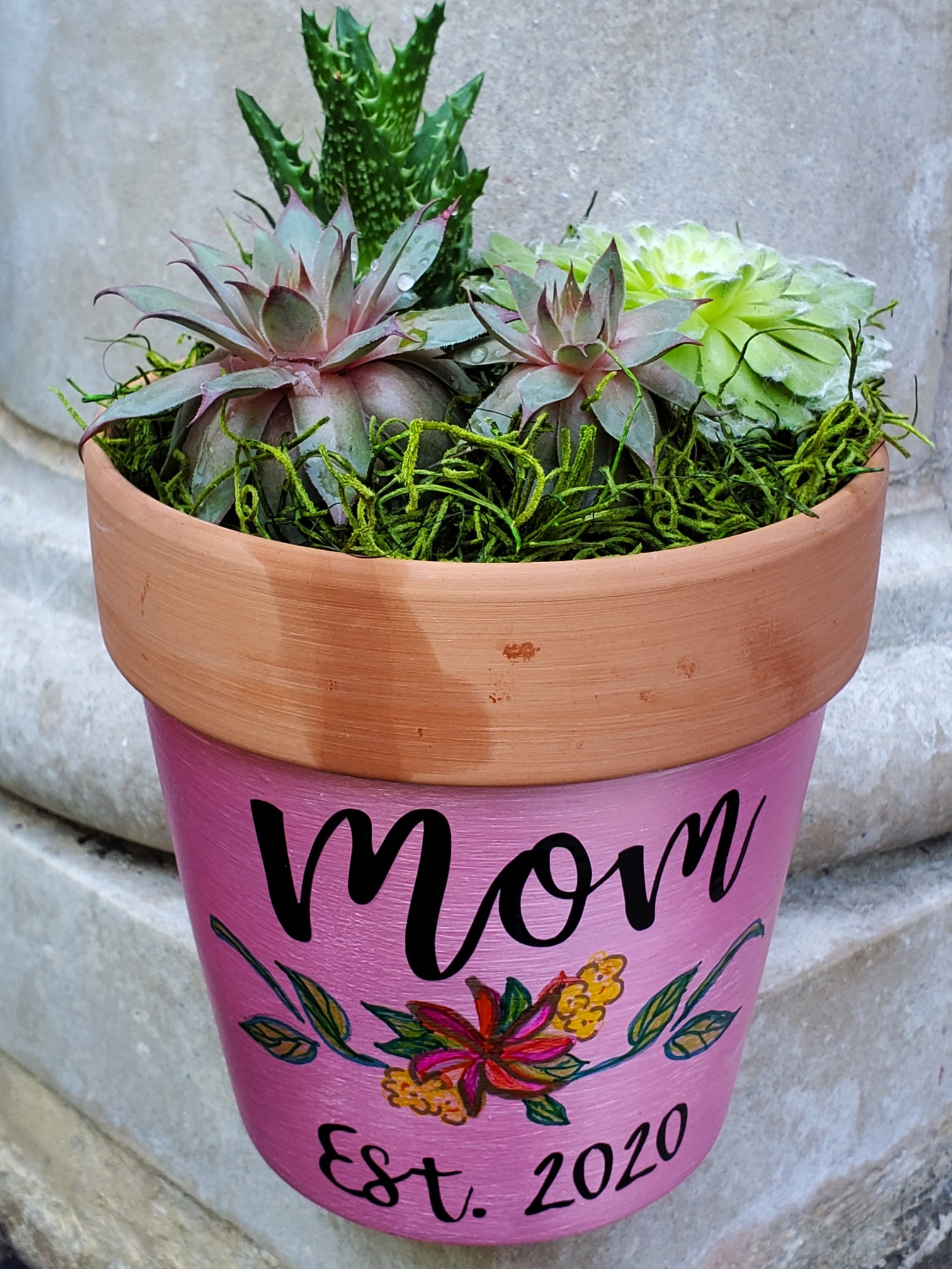 Colored Talkative Pot