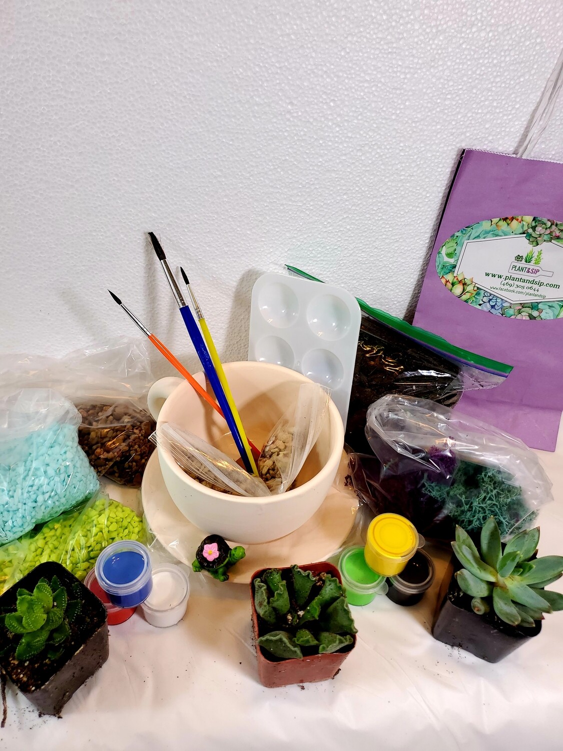 Paint & Plant DIY Ceramic Kits to Go!