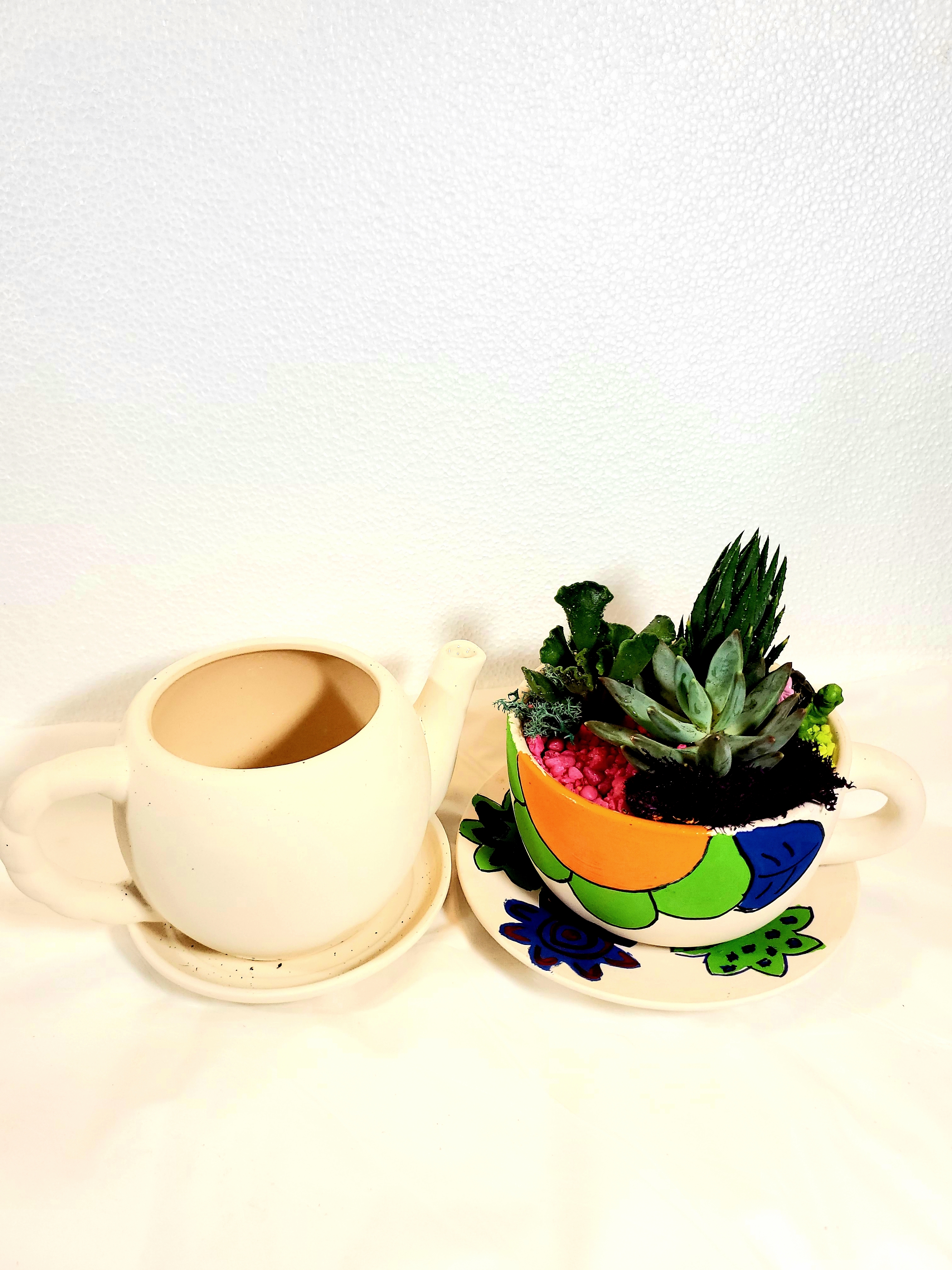 Paint & Plant DIY Ceramic Kits to Go!