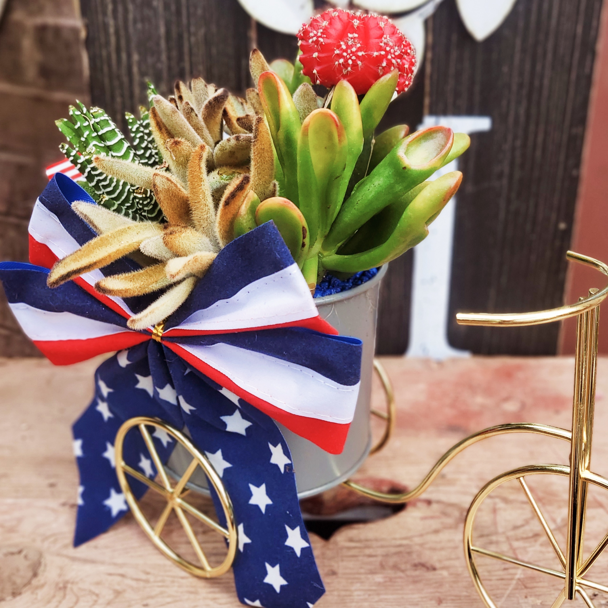 Patriotic Succulent Bicycle