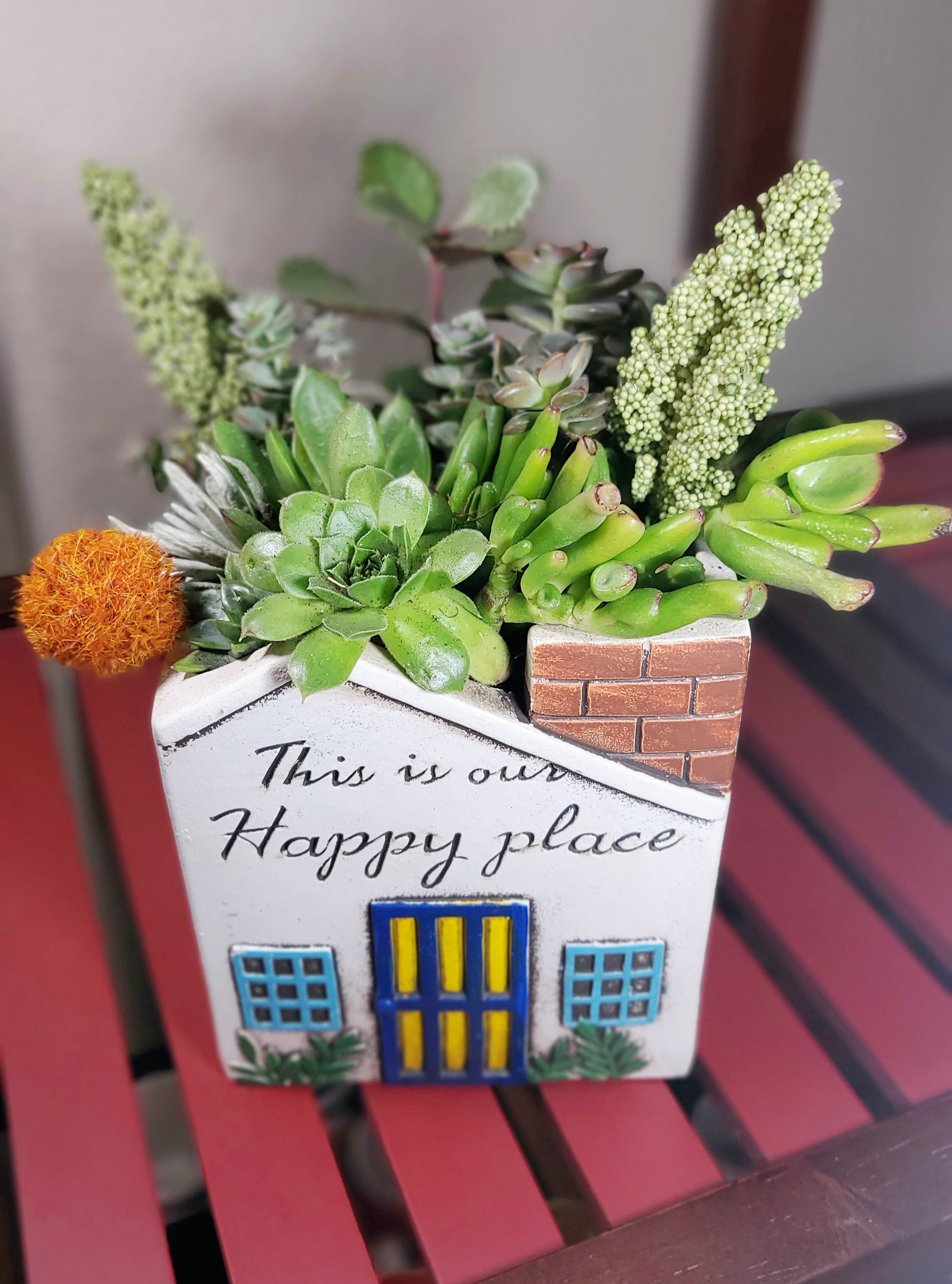 Succulent House Planter