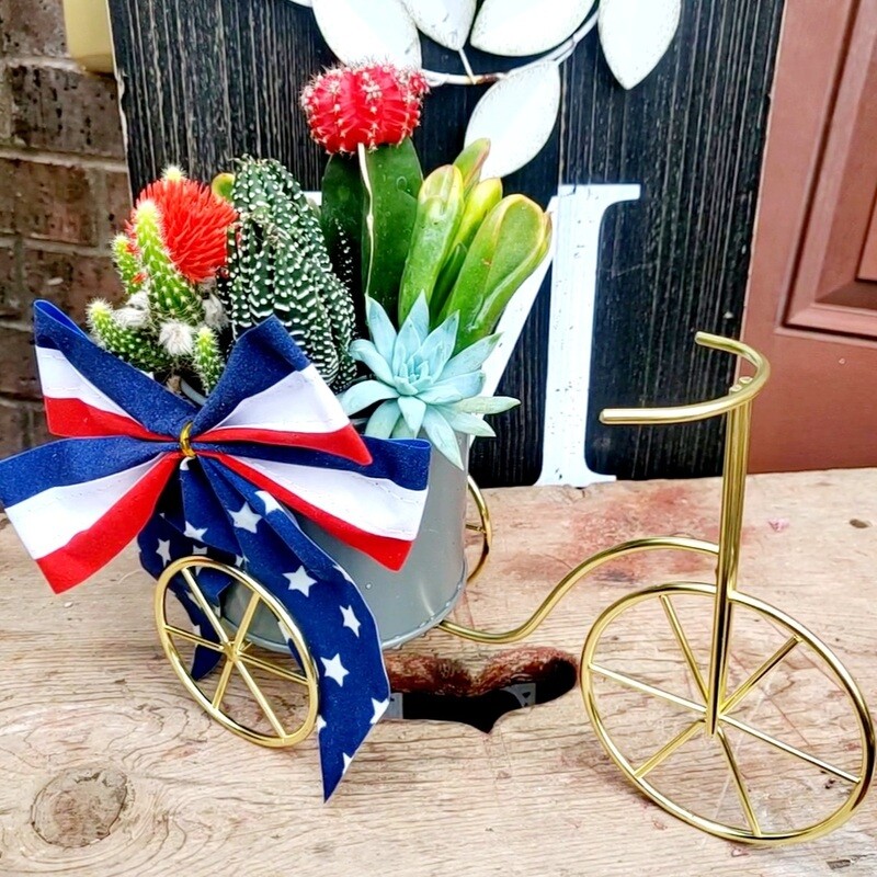 Patriotic Succulent Bicycle