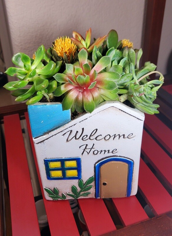 Succulent House Planter