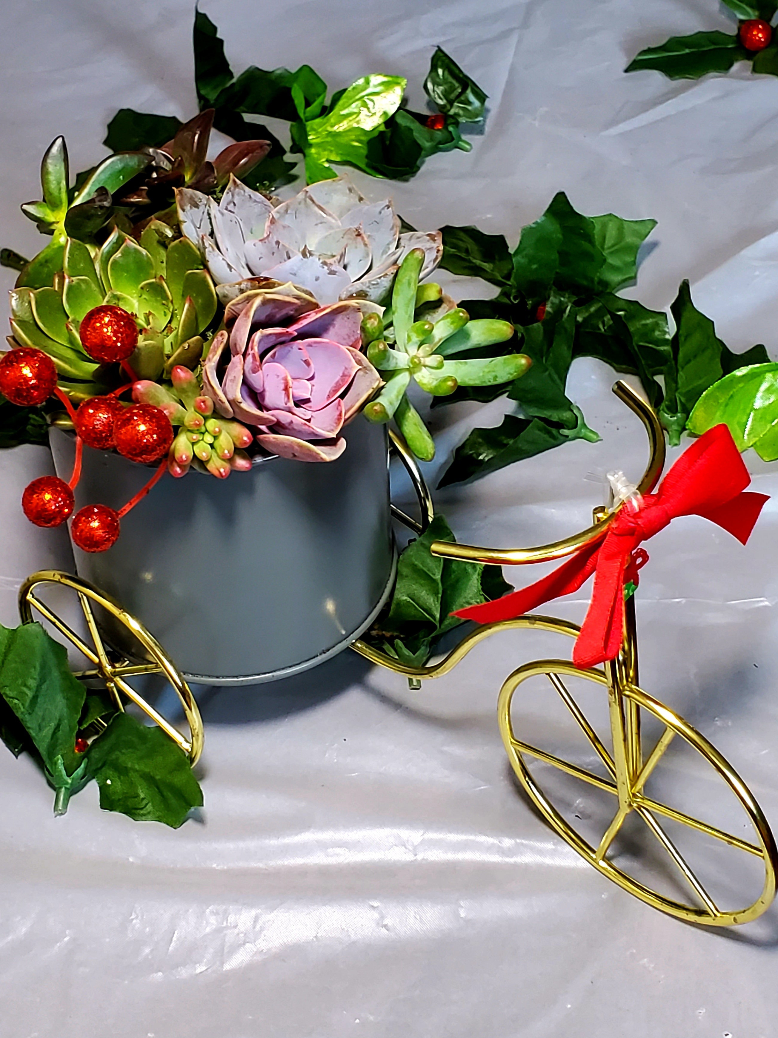 Christmas Succulent Bicycle
