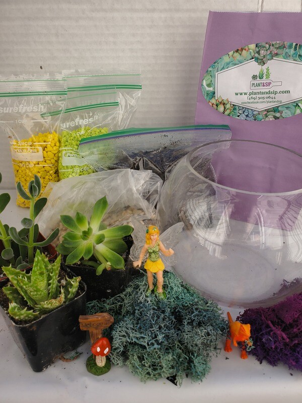 Terrarium DIY  Premium Kits to Go!