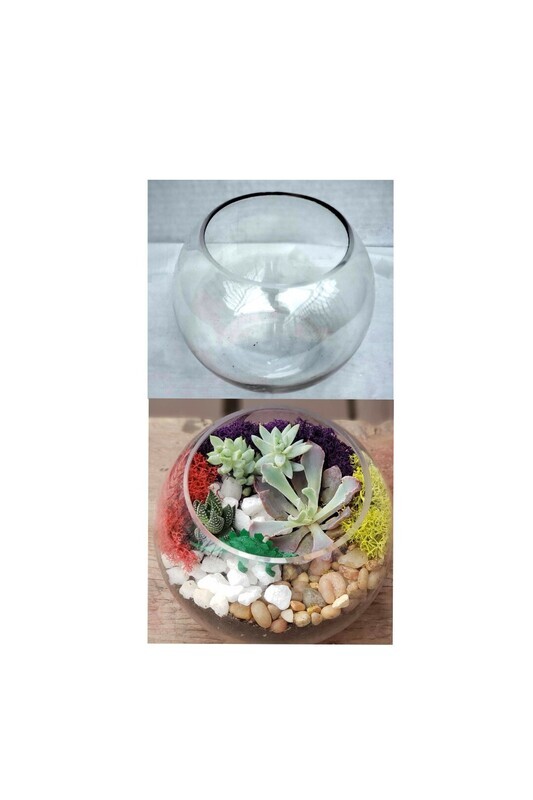 Terrarium DIY Kits to Go!