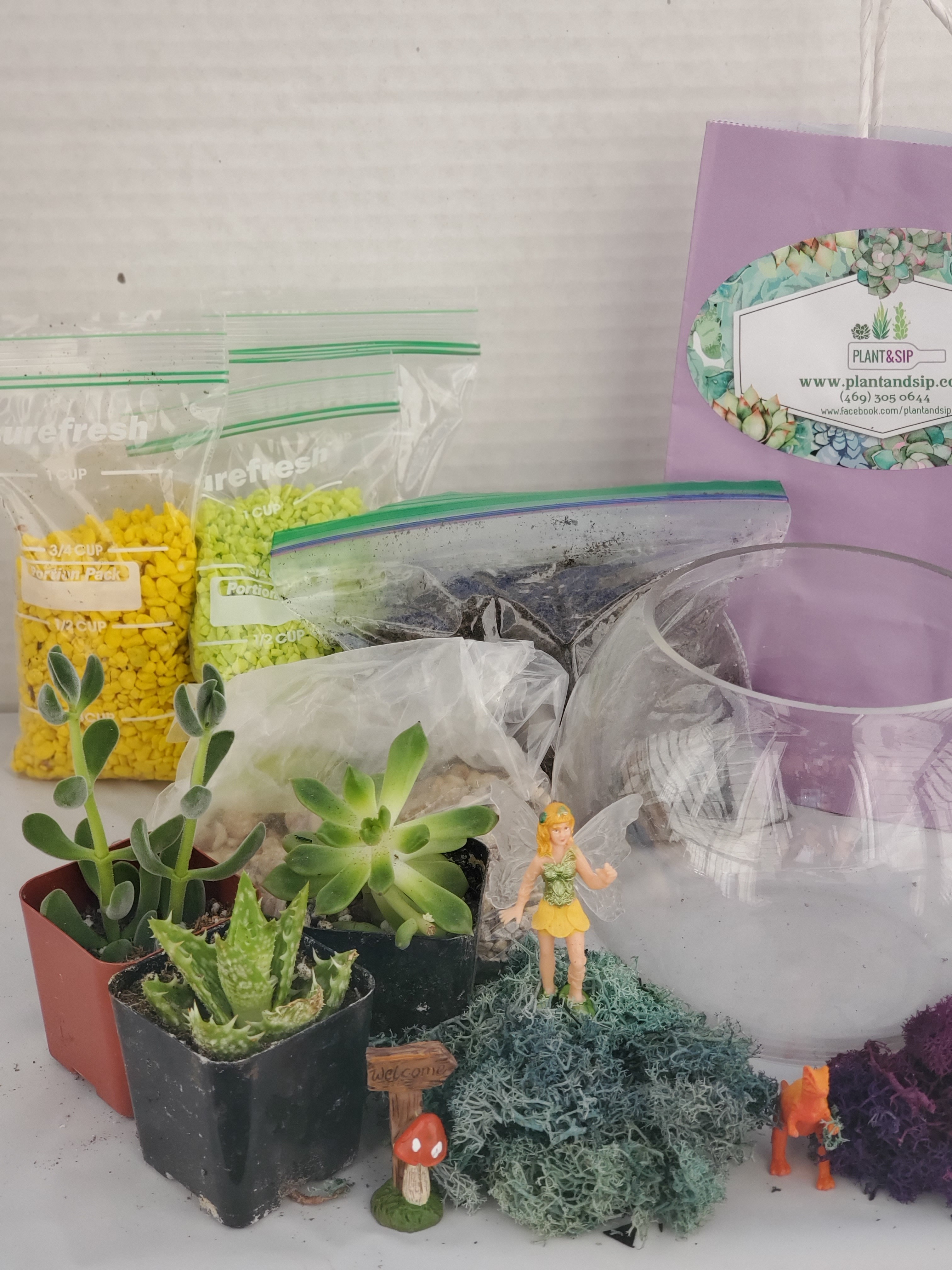 Terrarium DIY  Premium Kits to Go!