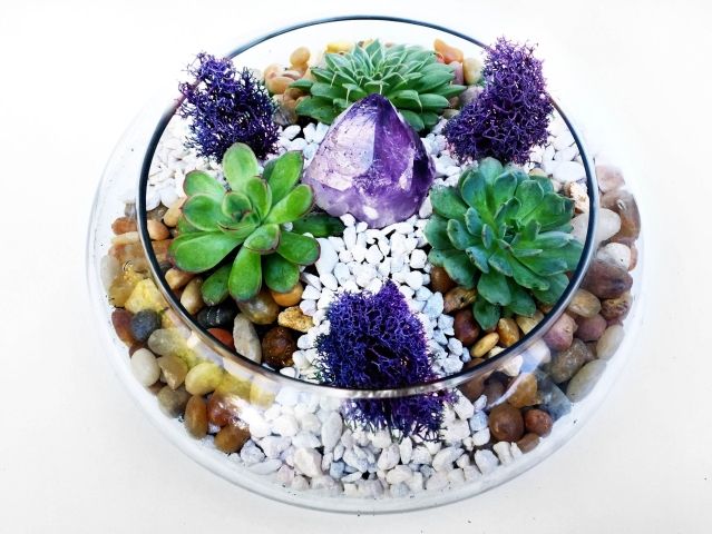 07/17/2025  Succulent Fun at Hilltop Truck Park - Northlake, TX,  - 6:30 p.m.!