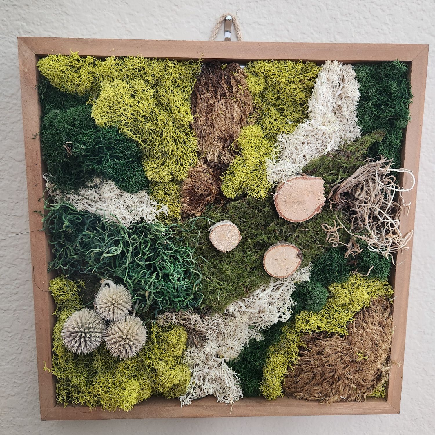 07/09/2025 Moss Wall at Halcyon Coffee Bar - Dallas, TX - 6:30 p.m.!