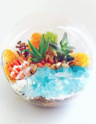 07/27/25  Beachy Vibes Terrarium at Fortunata Winery! 2 p.m.